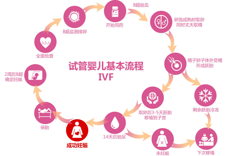 石家庄试管代怀孕机构